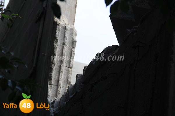 modahama lud 0216 (26).JPG